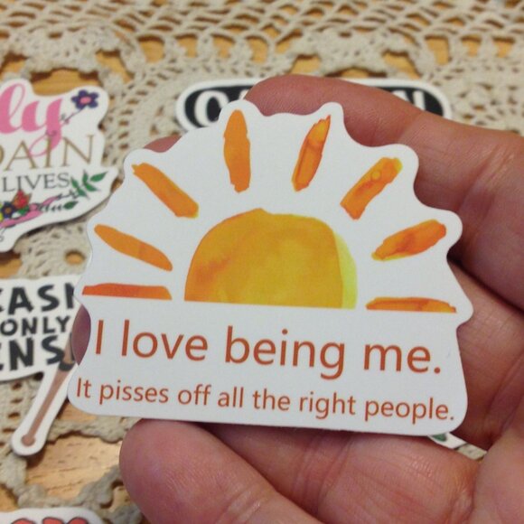 Stickers for cellphone, hydration bottles, Sarcasm - Picture 4 of 6